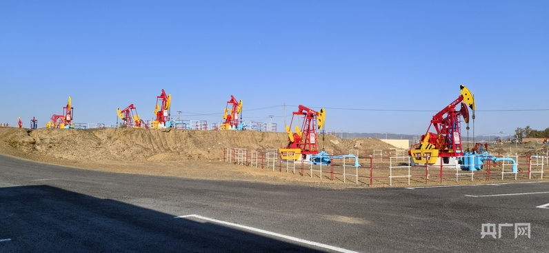 万人说新疆丨五湖四海聚新疆 看蓬勃发展“新”魅力