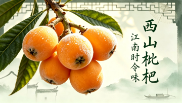 【鲜味中国·夏溢】西山枇杷 江南时令味_fororder_微信图片_20260611142032