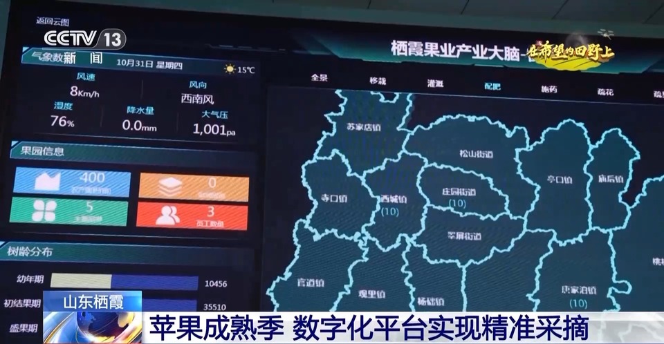 大丰收！全国多地同太空水稻一起传来丰收消息