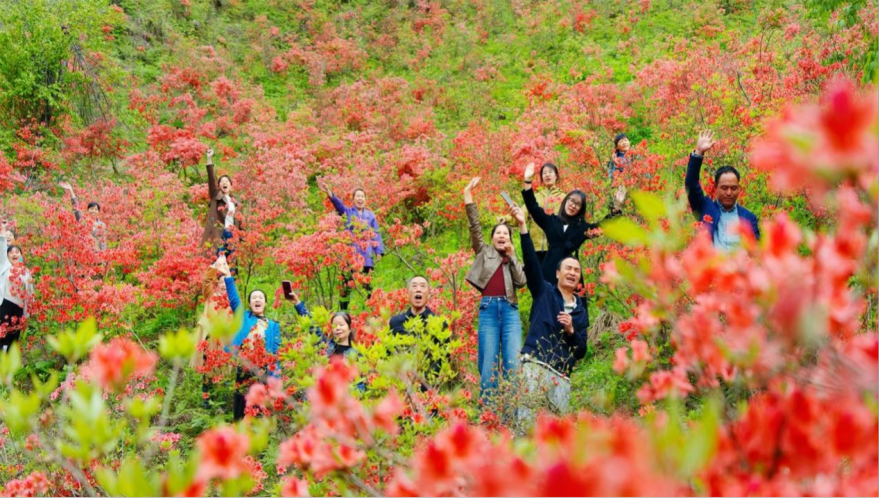 Longhui County, Hunan Unlocks the “Wealth Code” by Protecting Green Mountains and Clear Waters_fororder_图片10