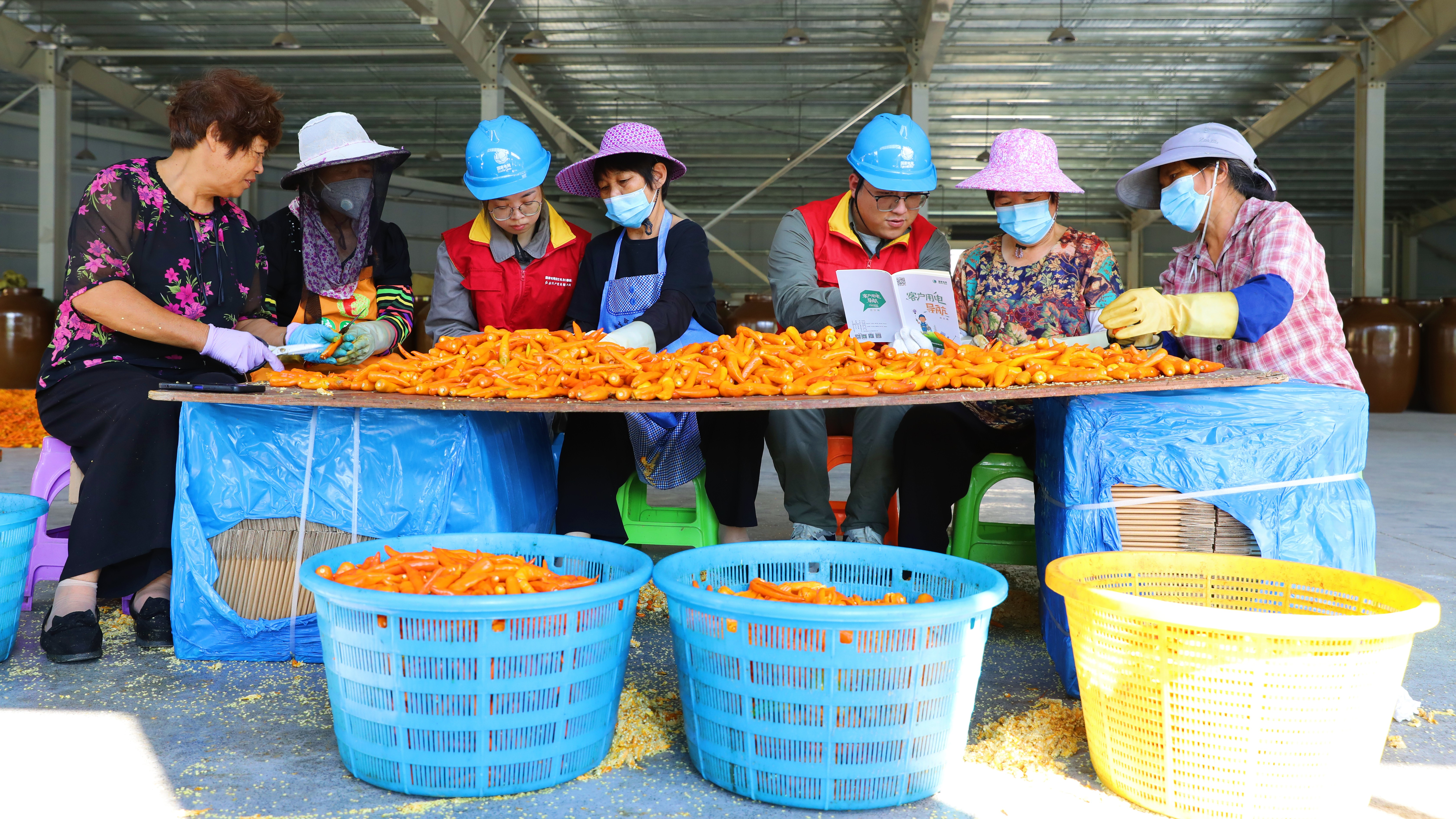 Wenzhou, Zhejiang: Power Energizes the "Spicy" Economy