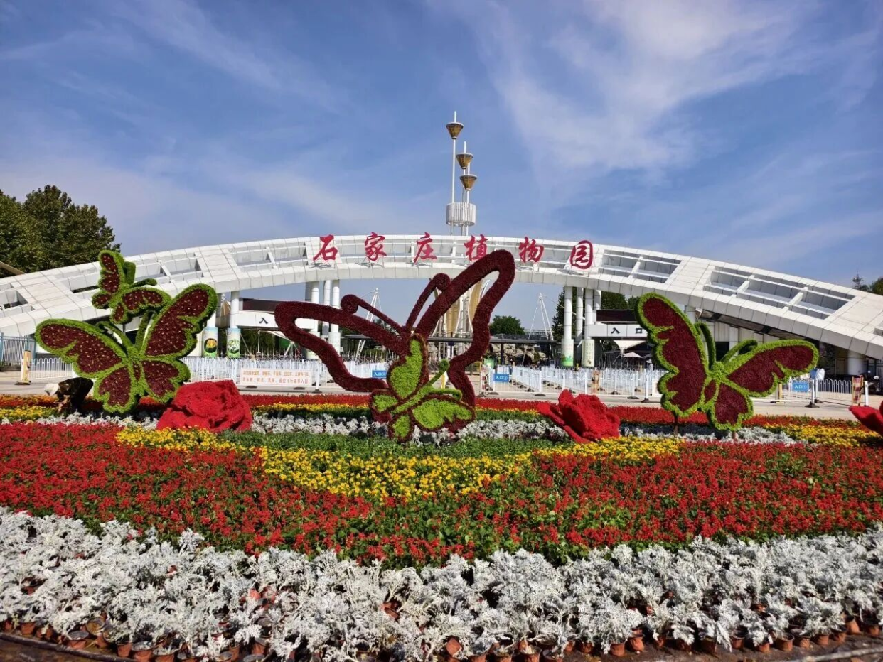Luquan District, Shijiazhuang: Autumn Charm and Blossoms Paint a Romantic Scene_fororder_图片4