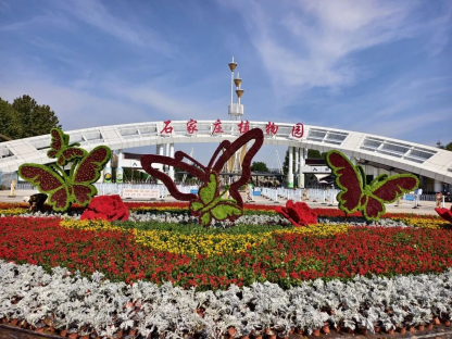 Luquan District, Shijiazhuang: Autumn Charm and Blossoms Paint a Romantic Scene