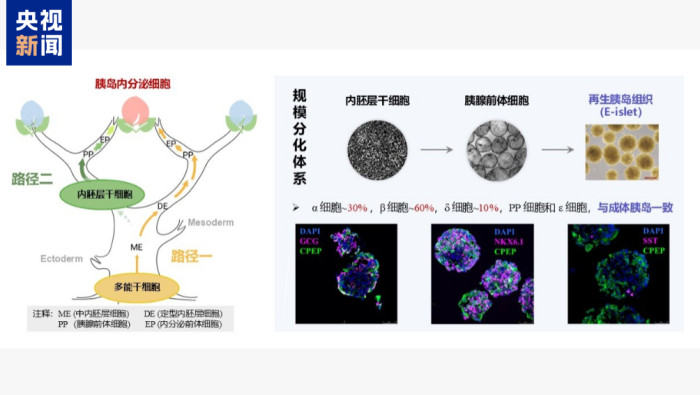 视频丨全球首次、硬核突破！本周，我国多领域成果密集“上新”