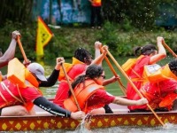 文化观察：外国人为什么对划龙舟越来越“上头”？