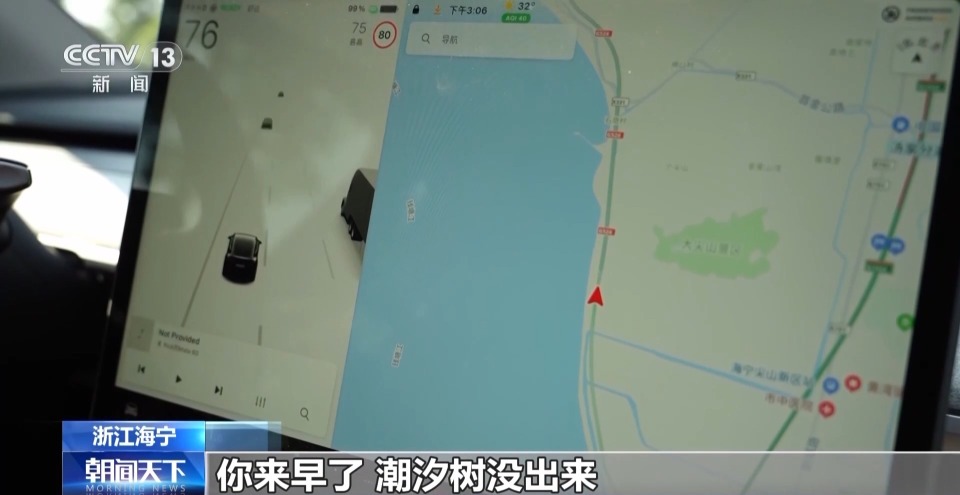 寻找潮汐树就像开盲盒 记者这次开出了“隐藏款”