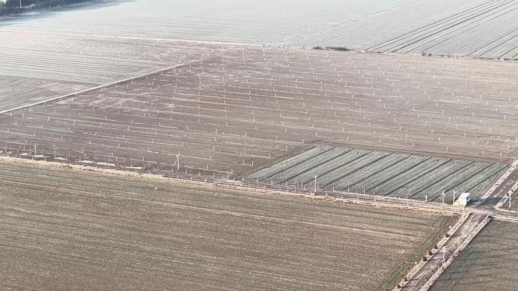 新华视点｜科技赋能 创新引领——产业升级一线观察