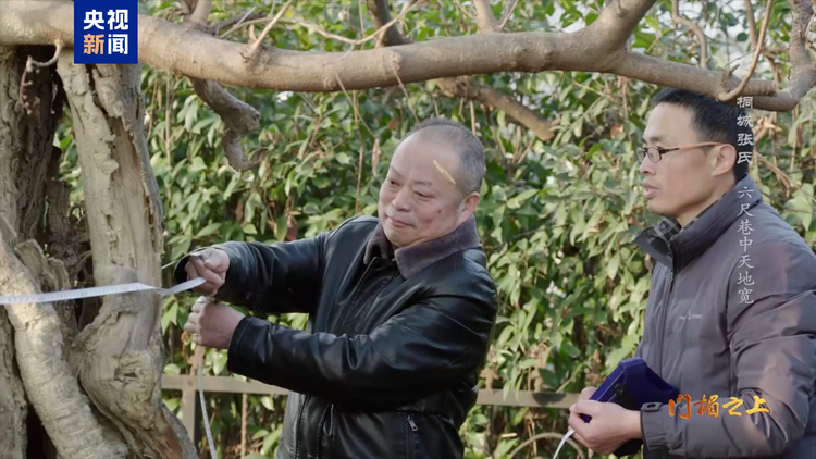 文化中国行丨桐城张氏：六尺巷中天地宽