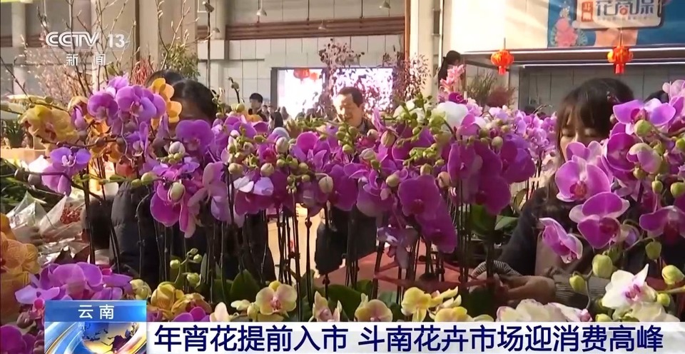 赶大集、岁末添金、买年宵花……你的年货置办好了吗?