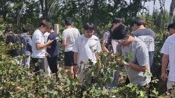 产教融合育英才 葡香漫溢贺兰山