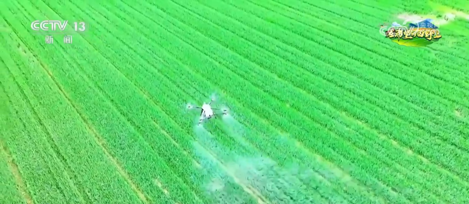 AI模型、“北斗”、物联网……智慧农业成为田间地头新常态