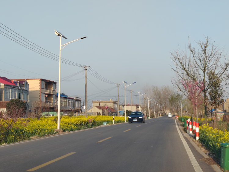 蚌埠市五河县浍南镇：不误农时不负春，绘就乡村振兴美丽画卷_fororder_不误农时图片2