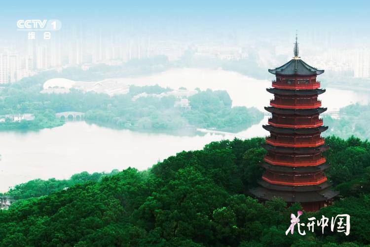 《花开中国》开播，在繁花中遇见美好生活