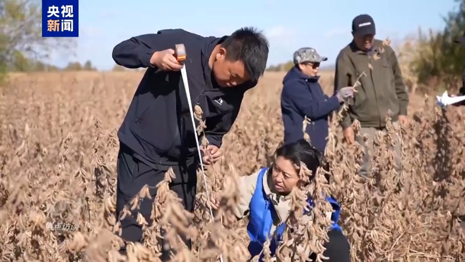 焦点访谈丨筑牢大国粮仓 中国人的饭碗端得更牢更稳