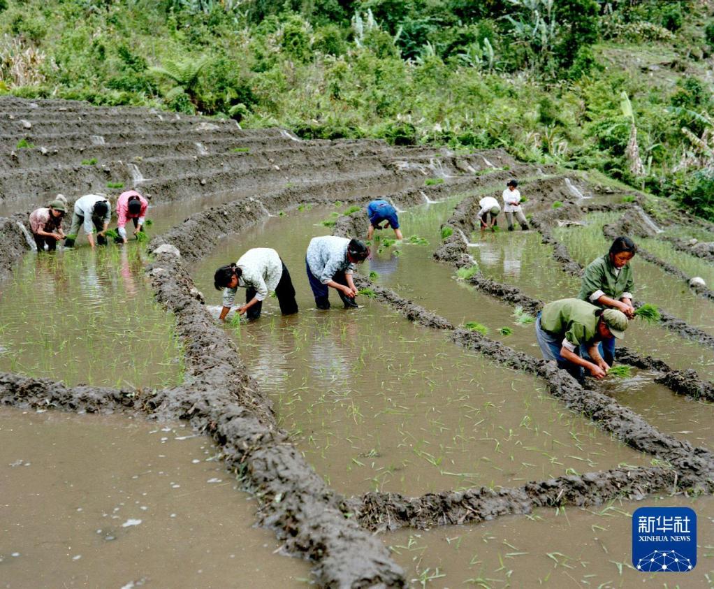 我在现场·光影流年｜土登：从农奴之子到雪域记者