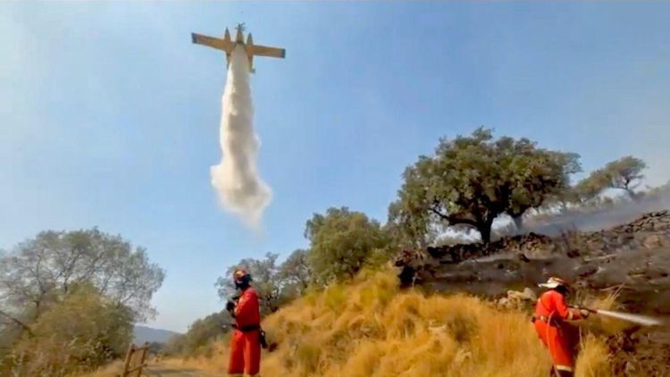 西班牙多地森林火灾持续 政府将启动国家层面救助机制