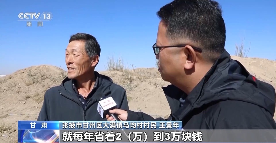 给草原放个假~祁连山20万头牛羊要下山“借牧”啦