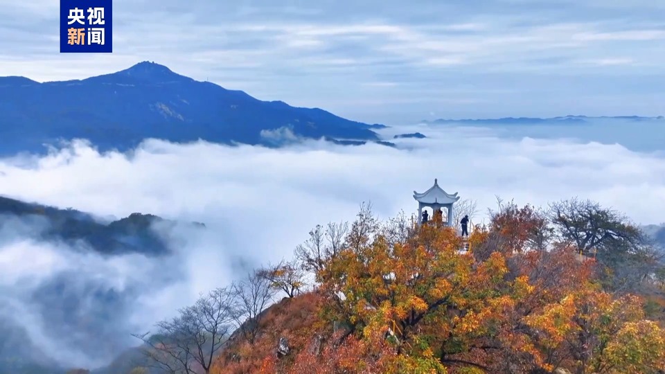 雨后桐柏山有多美？云海配彩林仿佛风景油画