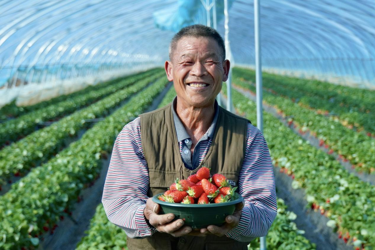 Electric Power Boosts Modern Agriculture and Rural Revitalization_fororder_图片5