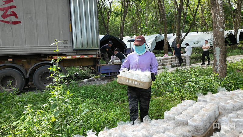 远山的回响丨远山新绿 白沙雨林的“两山”答卷