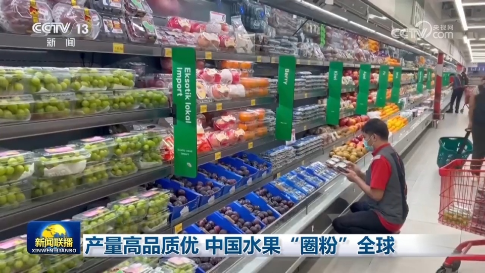 秋粮丰收、水果出海、民航新高：多维数据凸显中国经济韧性与活力