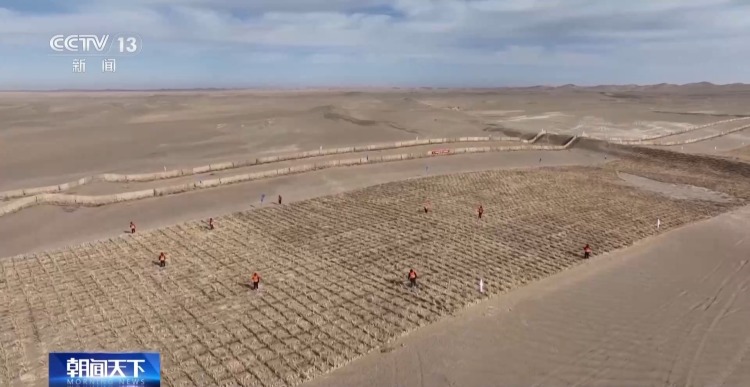 视频丨塔克拉玛干沙漠锁边扩绿工程启动 织密绿色防护网