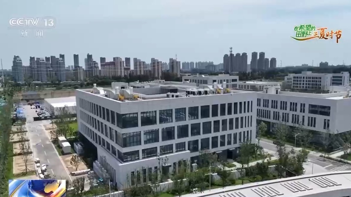 AI解锁丰收密码丨把滴灌带“种”进玉米地 干旱时也能实现高效灌溉