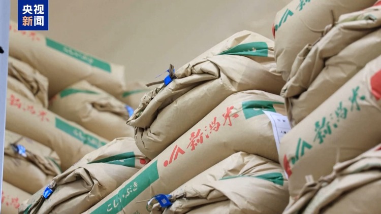 日本大米短缺价格高涨 专家：供应不足 短期内难缓解