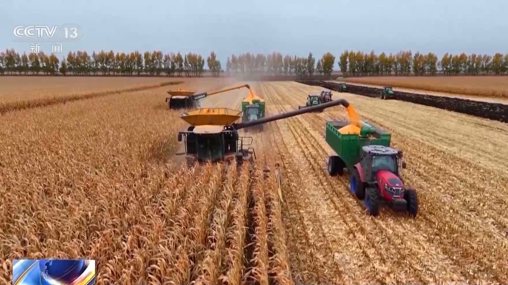 秋收进入冲刺阶段 各地多举措确保粮食“颗粒归仓”