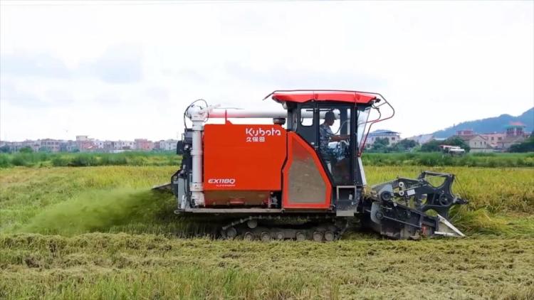 新华视点｜科技扎根田野间 多地探索农业高质量发展新路径