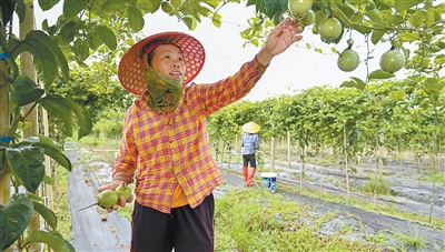 民生福祉达到新水平（新时代画卷·决战决胜“十四五”）