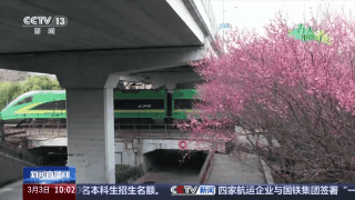 春日限定花海上线 赶紧来这些宝藏地打卡吧
