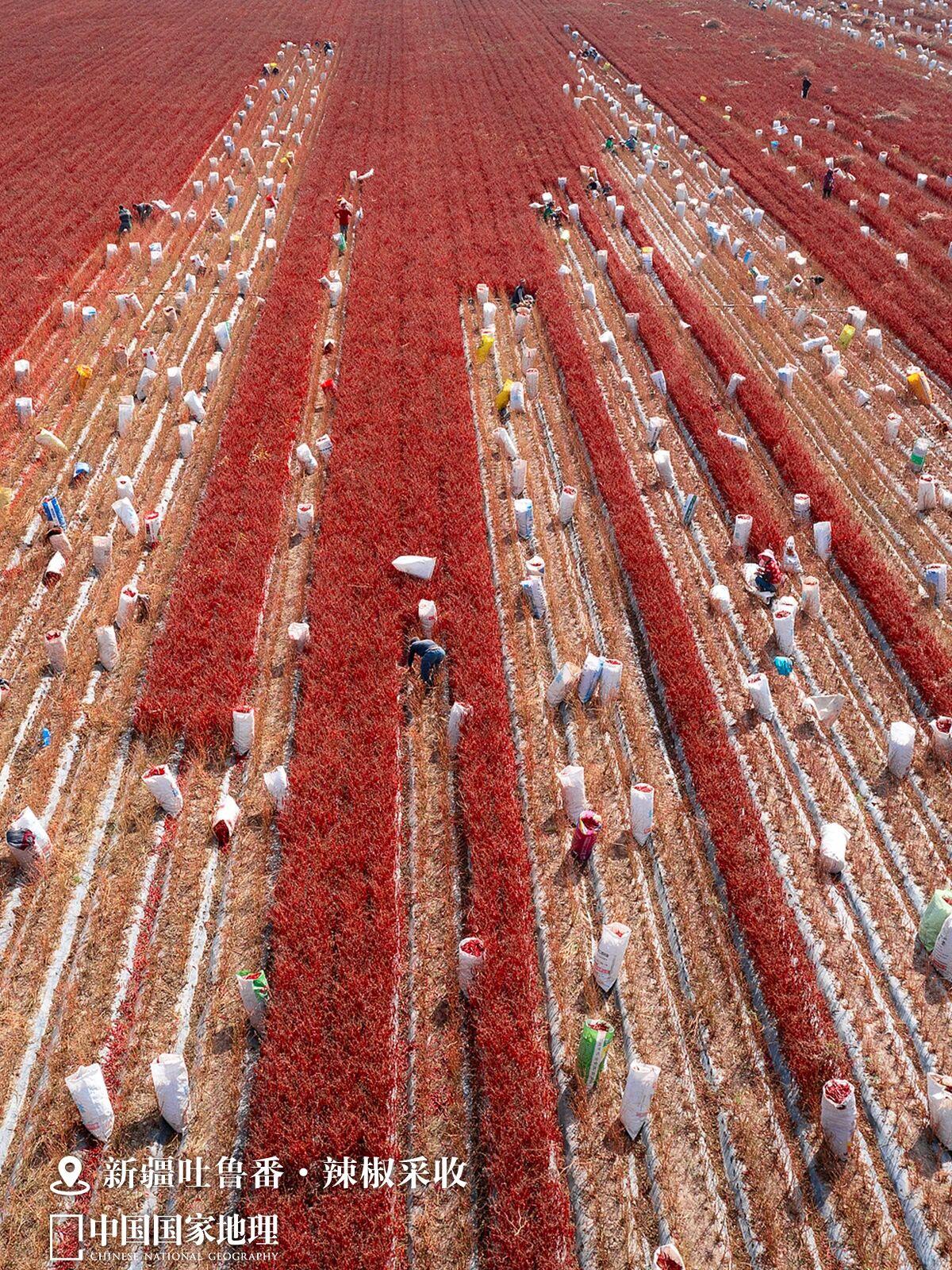 丰饶的中国，看“最富饶”的风景！