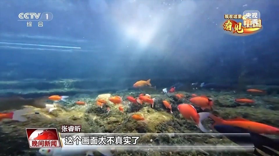 我在这里看见中国丨走遍名山大川 他用镜头记录这片土地的美