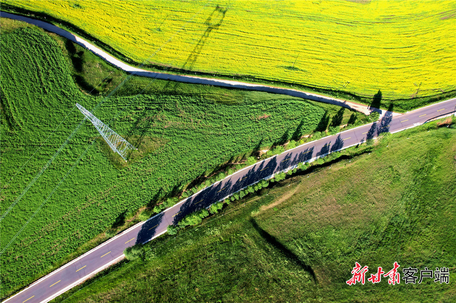 图片默认标题_fororder_4