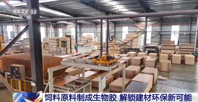 今年一季度绿色建材营收规模突破610亿元
