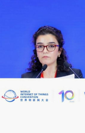 阿塞拜疆经济部官员：期待与中国在科技领域持续深化合作 助力阿塞拜疆经济数字化转型