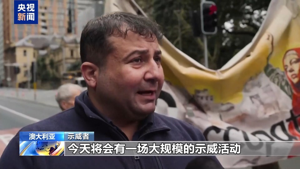 多国爆发示威游行 声援加沙地带巴勒斯坦民众