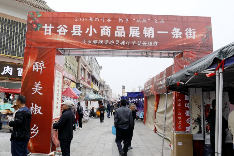 天水甘谷：汇聚四海精品 点亮文旅盛宴_fororder__MG_3785_副本