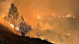 西班牙中部遭遇大规模山火 过火面积达2.6万公顷