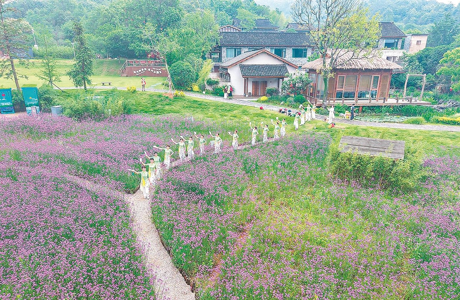 图片默认标题_fororder_庐江