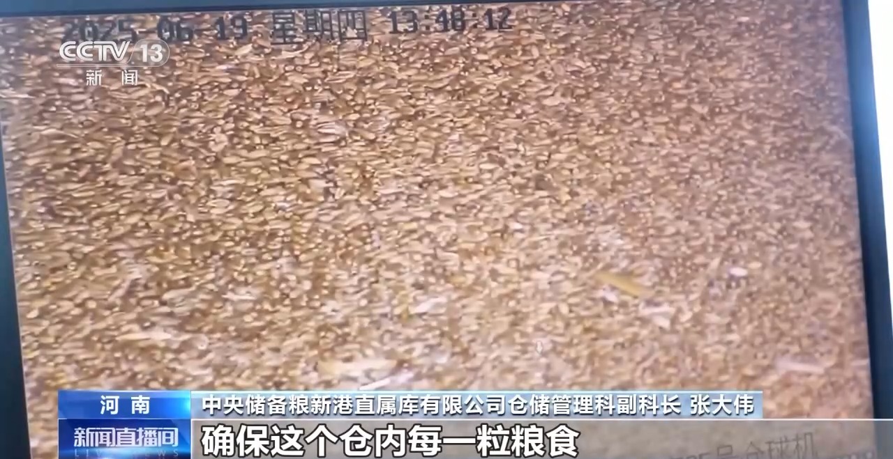 “黑科技”升级粮食“住”进好房子 今年粮食收购储存有新亮点→