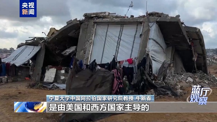 蓝厅观察丨中方锚定“两国方案”推动巴勒斯坦问题政治解决