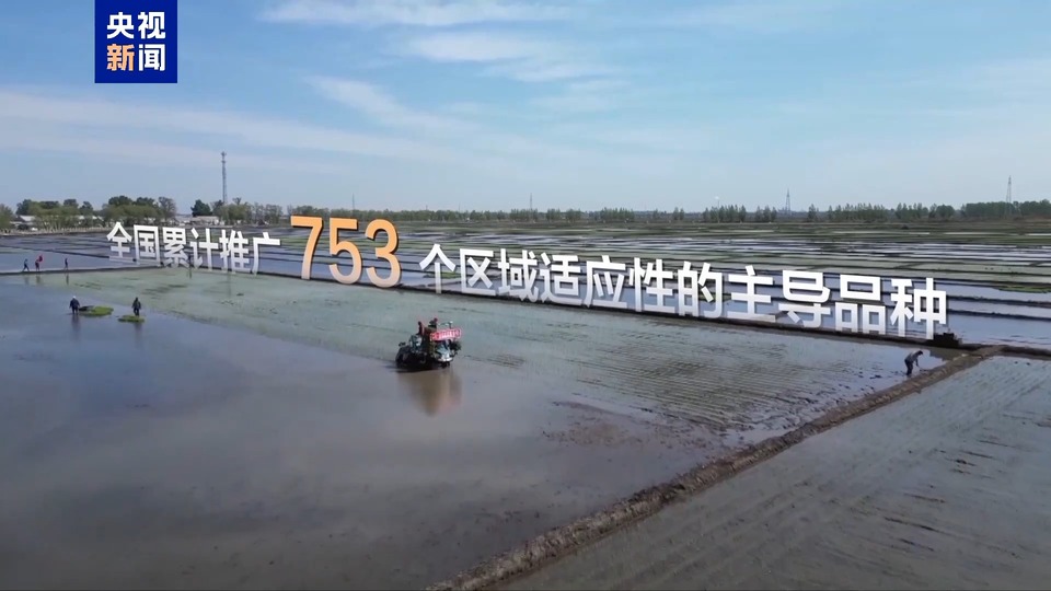 1.4万亿斤！以汉字视角探寻大国粮仓的增产密码