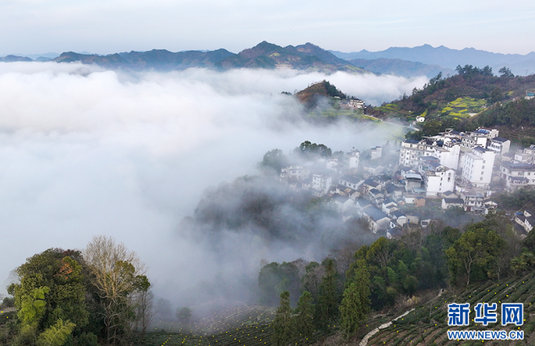 安徽歙县：石潭春景引客来