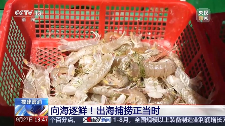 海边村镇变网红打卡点 “渔旅融合”让滨海小城出圈