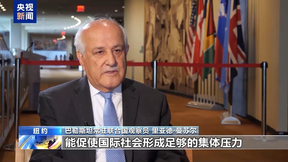 落实“两国方案”高级别国际会议闭幕 巴以代表对此怎么看？