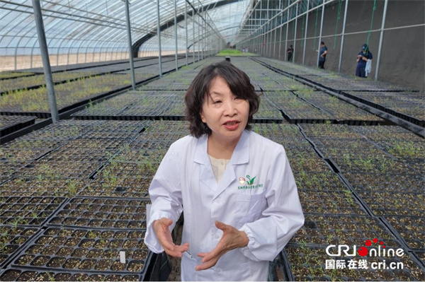 环着沙漠看新疆丨绿水青山带笑颜：从阿克苏到喀什的荒漠化防治实践_fororder_图片4