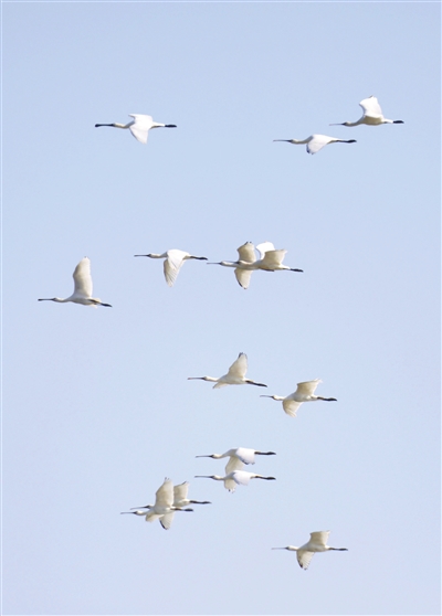 图片默认标题_fororder_p3_b