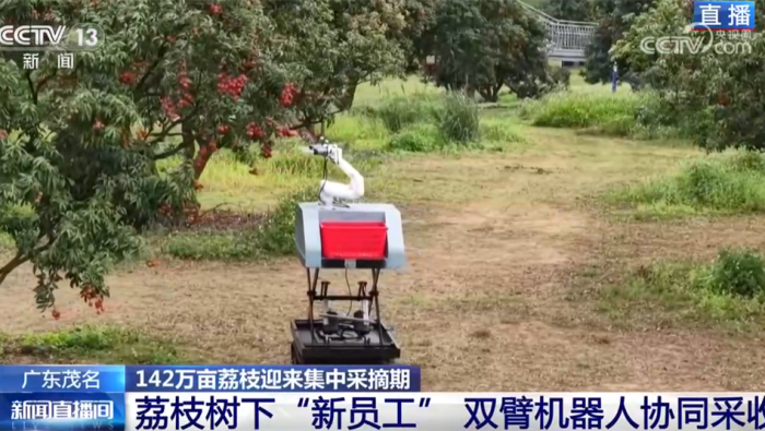 科技助力特色产业耕出好景“智” “小”荔枝串起乡村振兴“大文章”